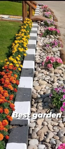 Planting & Design Service Planting & Design Service