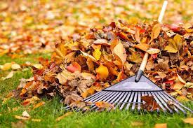 Fall & Spring Cleanups Service