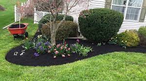 Mulching Service
