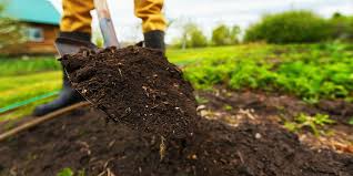 Top Soil Service